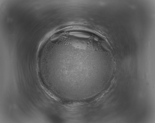 X0000060580149200511031345