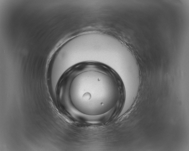 X0000060580150200511031345