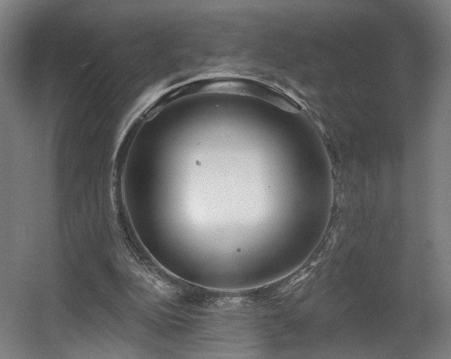 X0000060580152200511031345