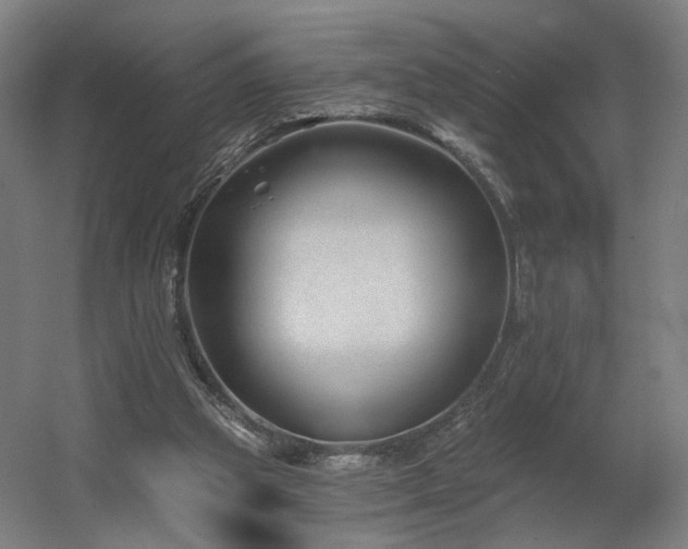 X0000060580153200511031345