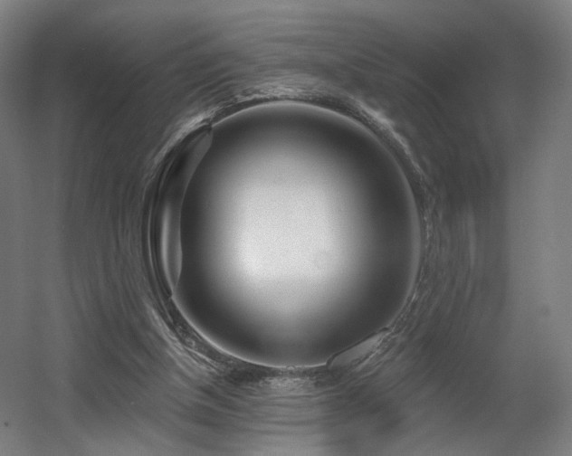 X0000060580154200511031345