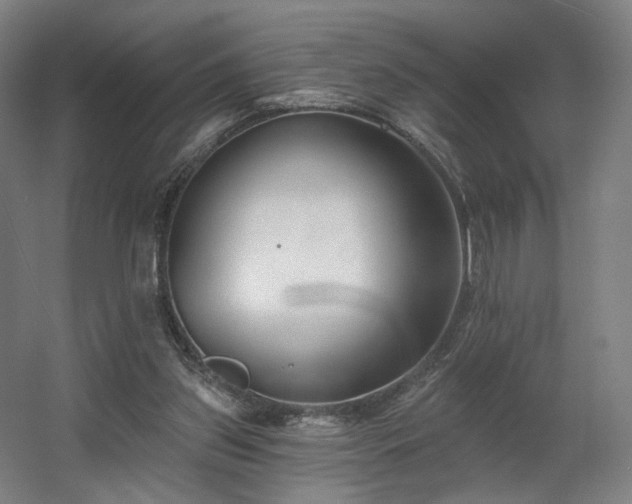 X0000060580157200511031345