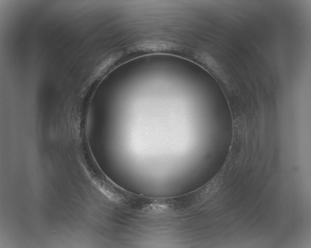 X0000060580159200511031345