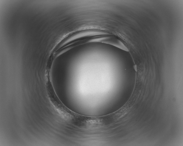 X0000060580160200511031345