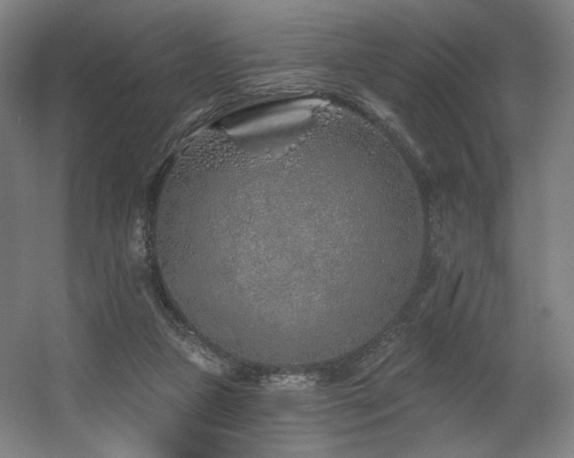 X0000060580161200511031345