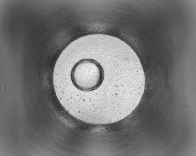 X0000060580162200511031345