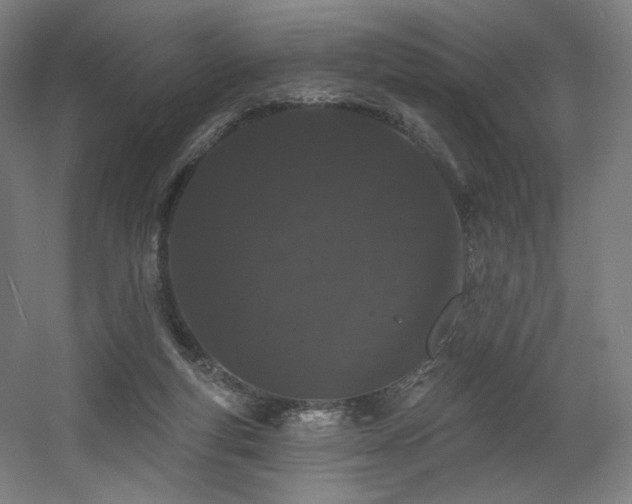 X0000060580163200511031345