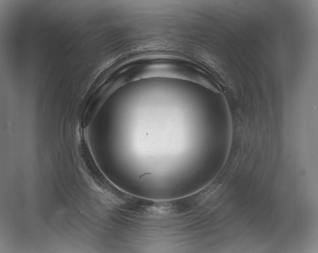 X0000060580164200511031345