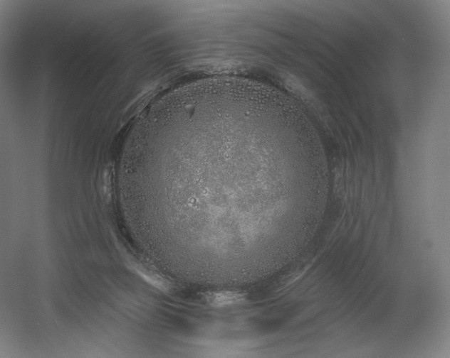 X0000060580165200511031345