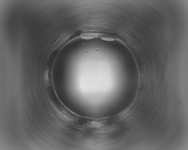 X0000060580166200511031345