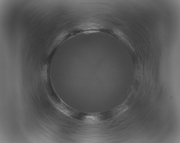 X0000060580167200511031345