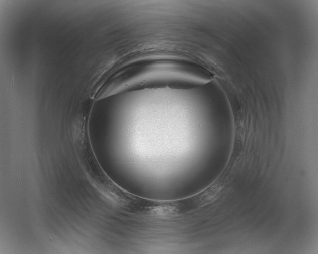 X0000060580168200511031345