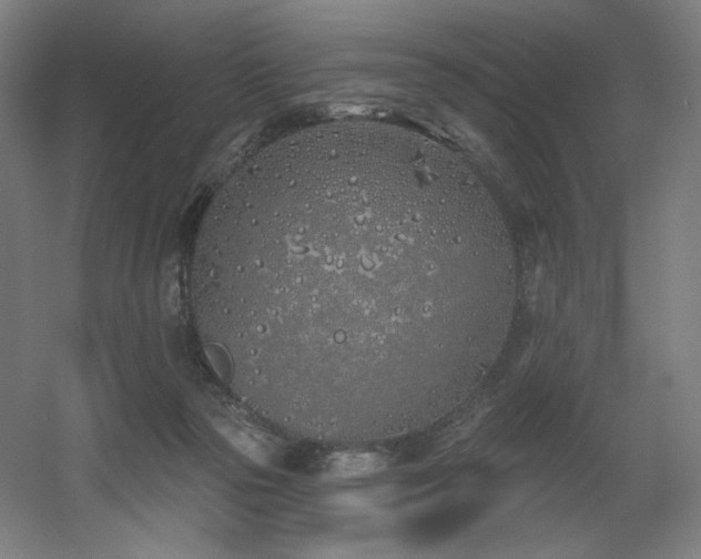 X0000060580169200511031345