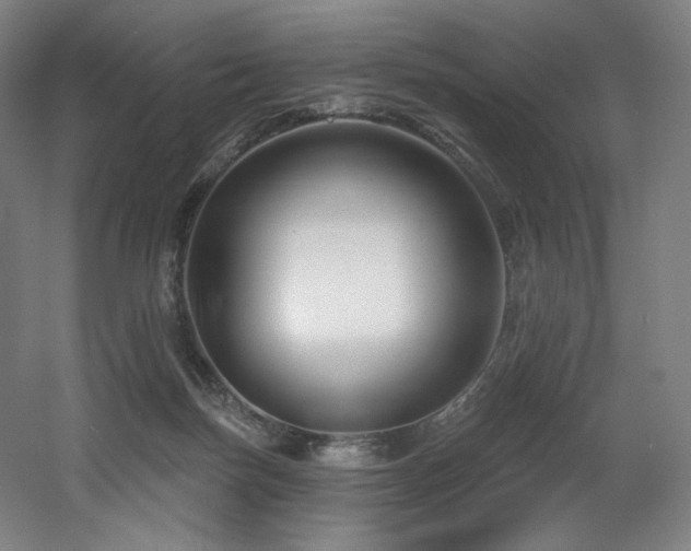 X0000060580171200511031345