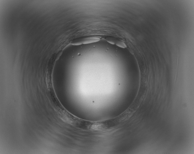 X0000060580173200511031345