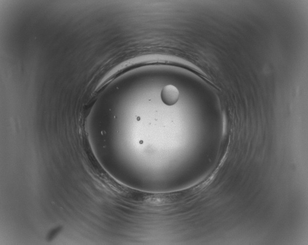 X0000060580174200511031345