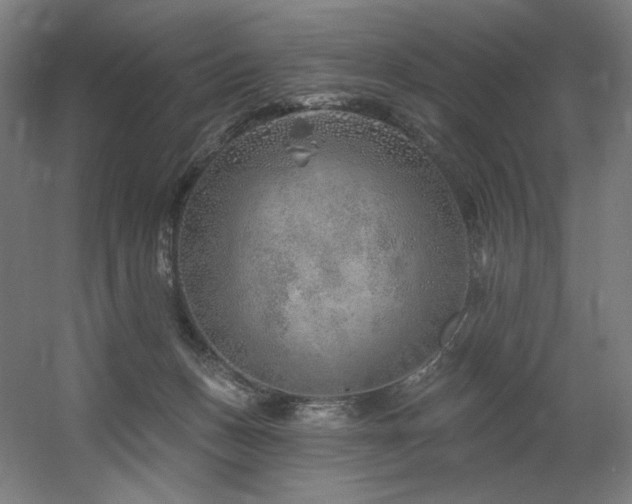 X0000060580175200511031345