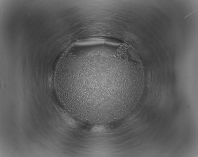 X0000060580177200511031345