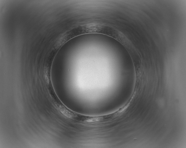 X0000060580178200511031345