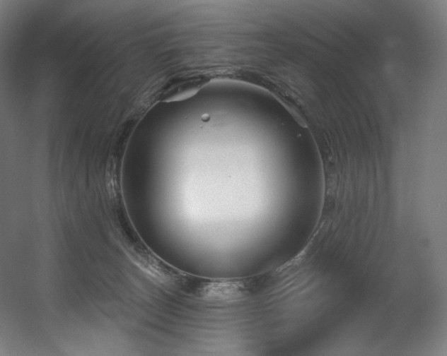 X0000060580179200511031345