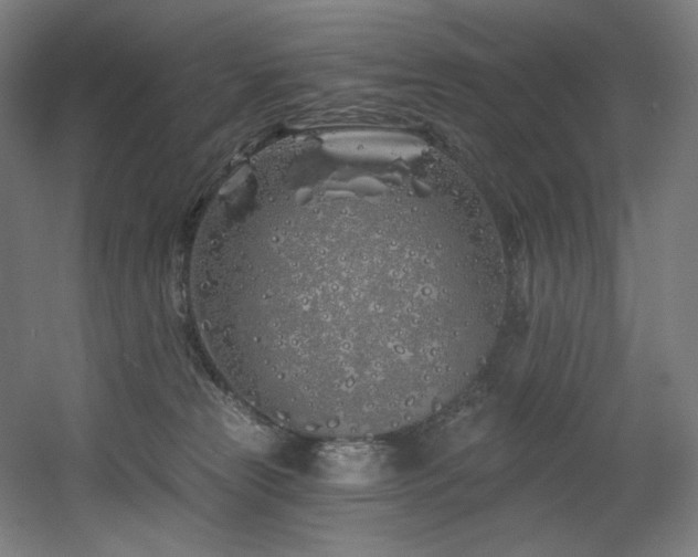 X0000060580181200511031345