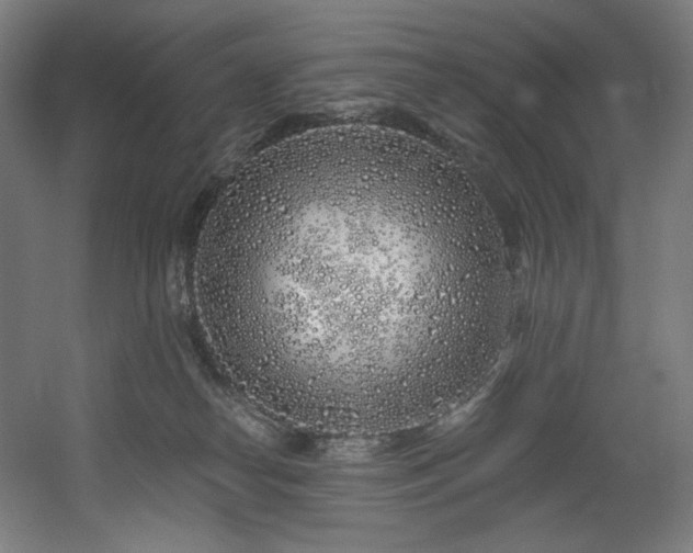 X0000060580182200511031345