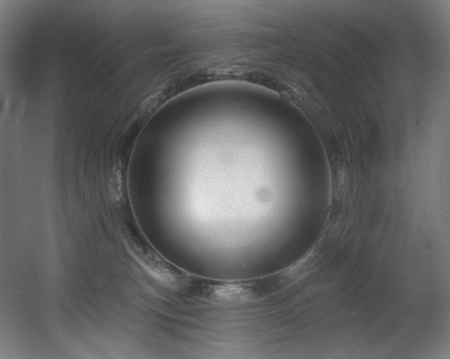 X0000060580183200511031345