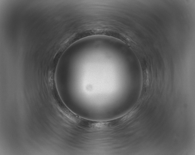 X0000060580184200511031345