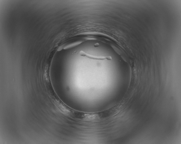 X0000060580185200511031345