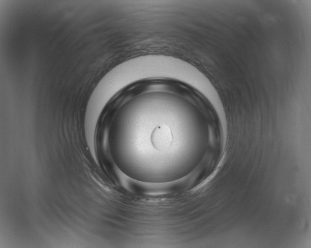 X0000060580186200511031345