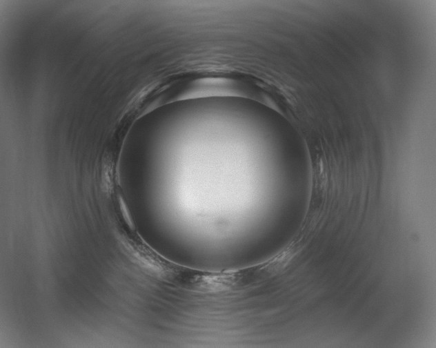 X0000060580188200511031346