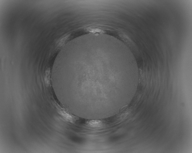 X0000060580189200511031346