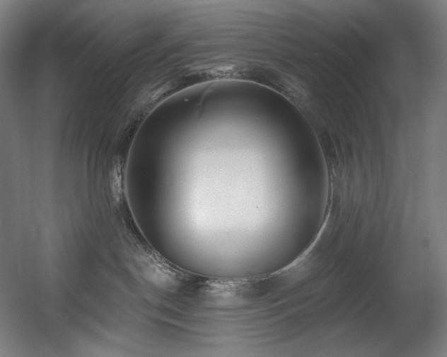 X0000060580190200511031346