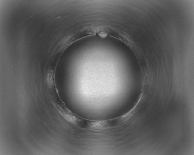 X0000060580191200511031346