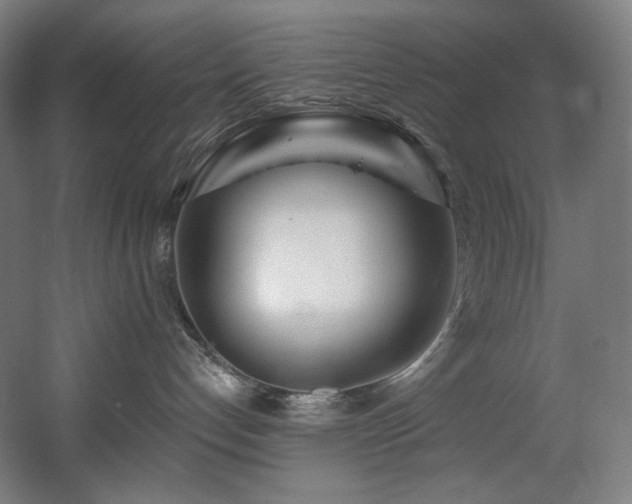 X0000060580192200511031346