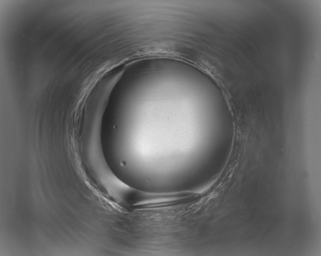 X0000060580193200511031345