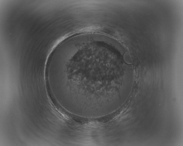 X0000060580196200511031345