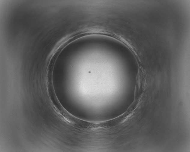 X0000060580199200511031345