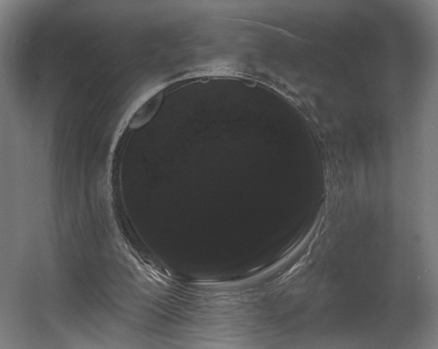 X0000060580200200511031345