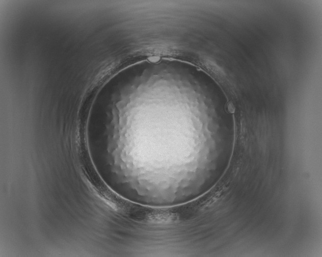 X0000060580202200511031345