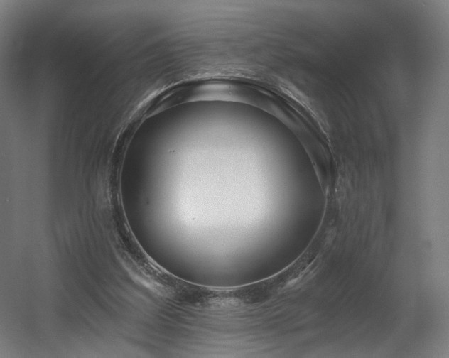 X0000060580203200511031345