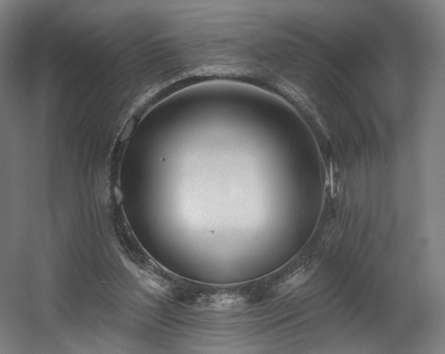 X0000060580204200511031345