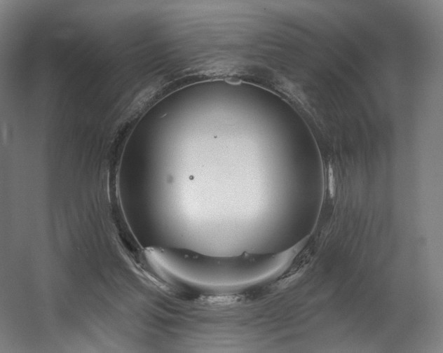 X0000060580205200511031345