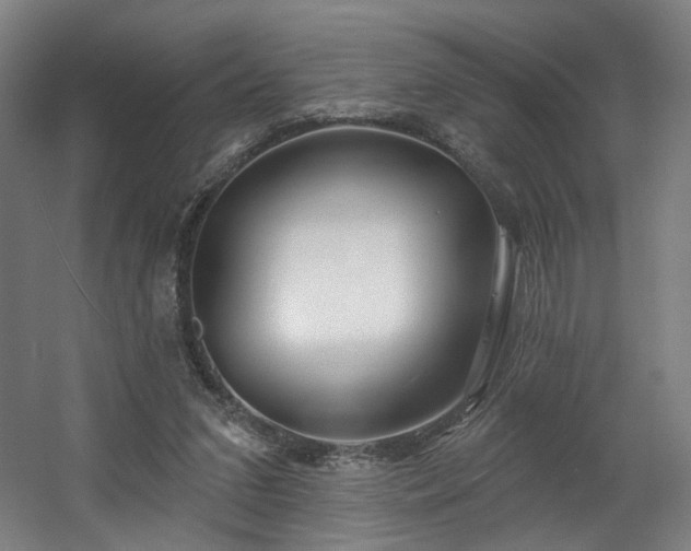 X0000060580207200511031345