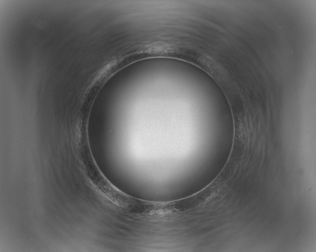 X0000060580208200511031345