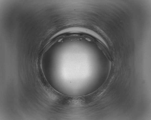 X0000060580209200511031344