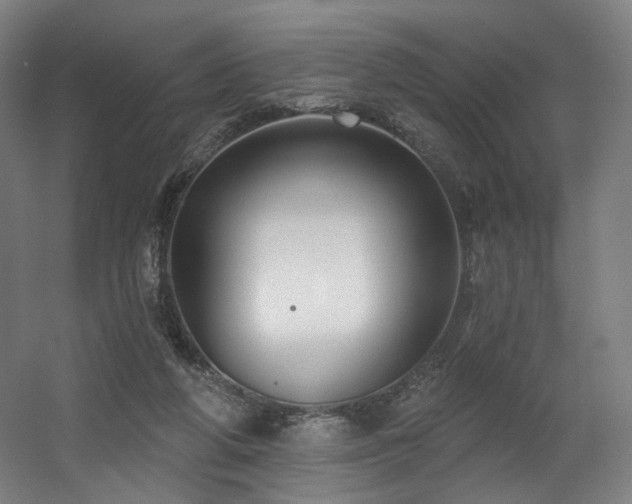 X0000060580210200511031344