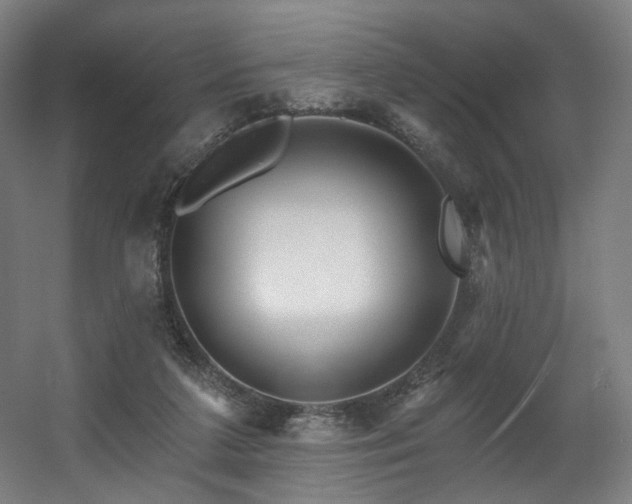 X0000060580211200511031344