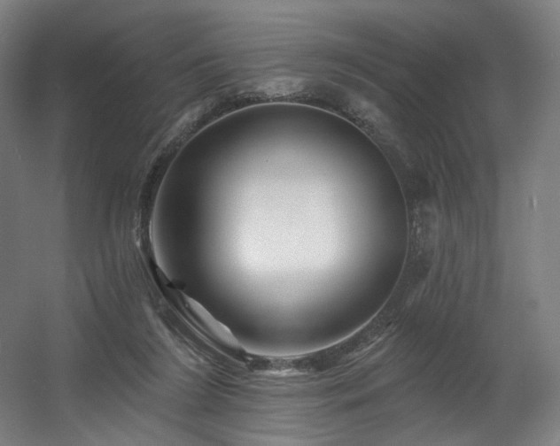 X0000060580212200511031344