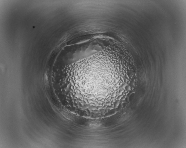 X0000060580214200511031344